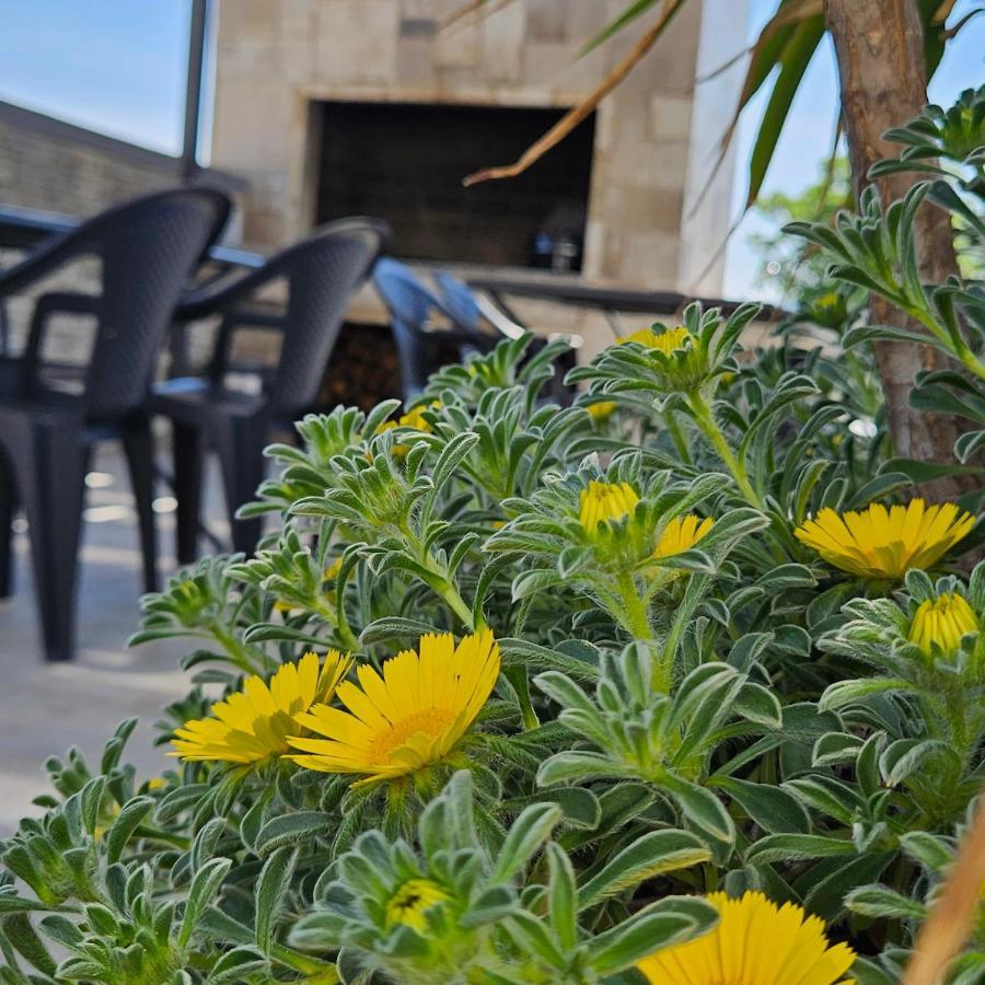 Villa Silver Starigrad Paklenica Extérieur photo